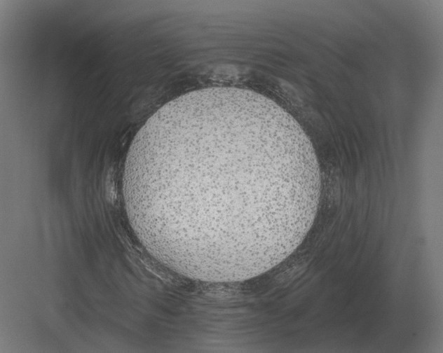 X0000082160962200702162230