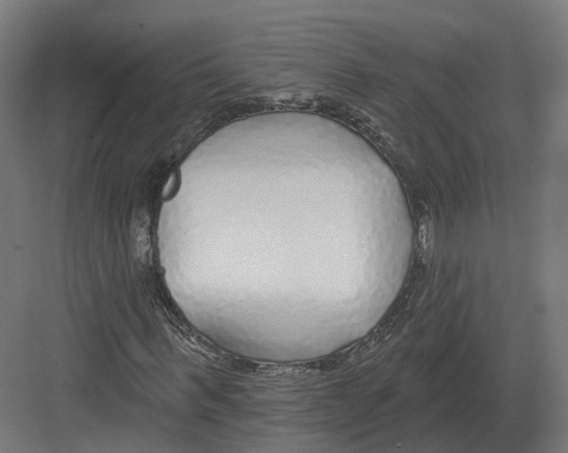 X0000082160963200702162230