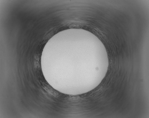 X0000082160964200702162230