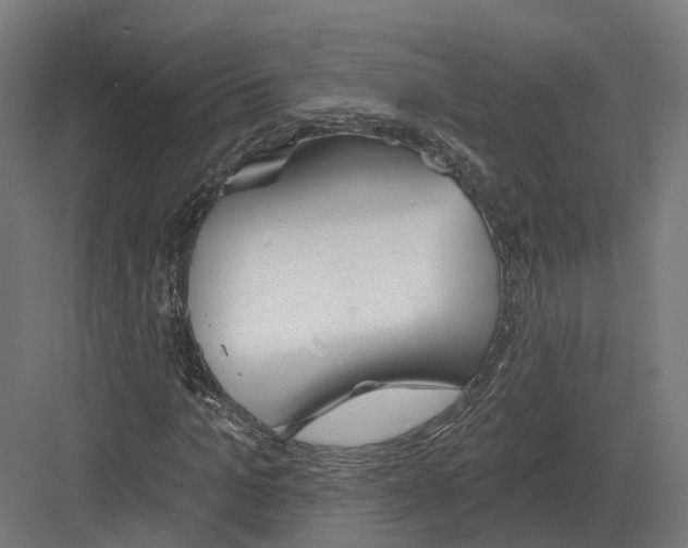 X0000082160965200702162230