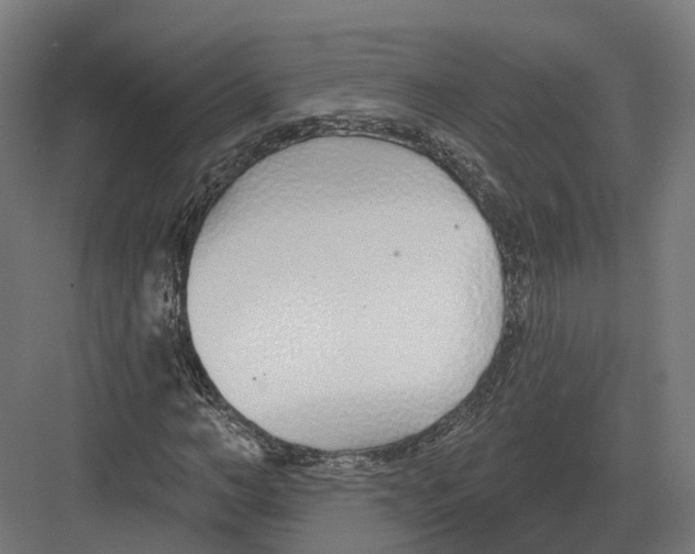 X0000082160966200702162230