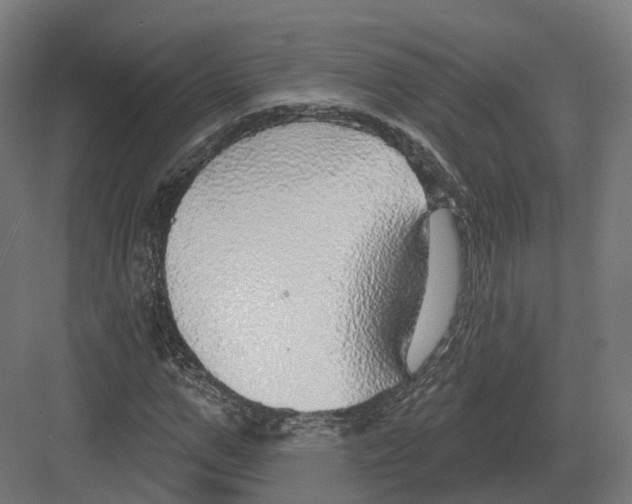 X0000082160967200702162230