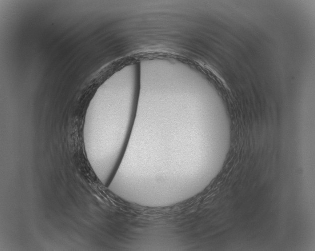 X0000082160968200702162230