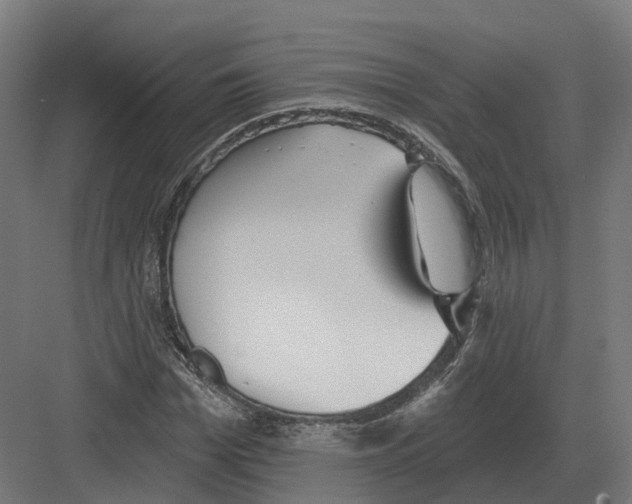 X0000082160969200702162230