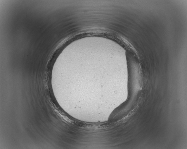 X0000082160970200702162230