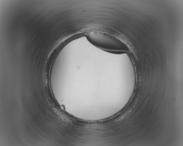 X0000082160973200702162230