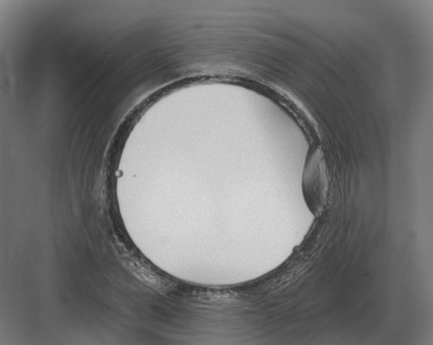 X0000082160975200702162230