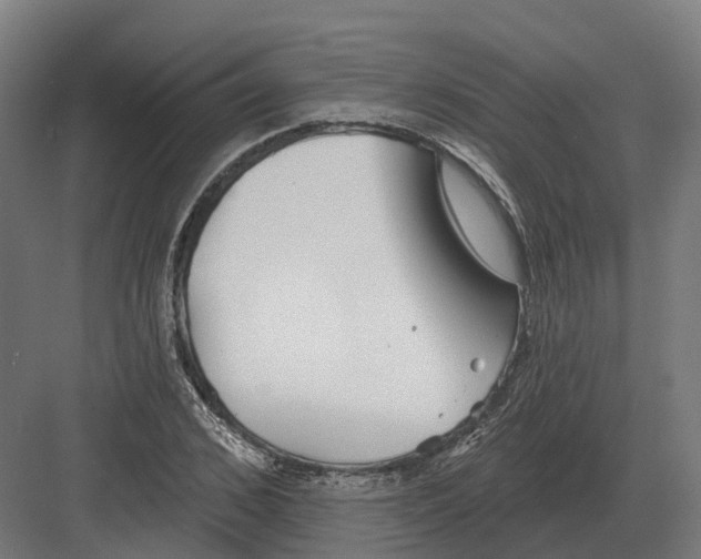 X0000082160976200702162230