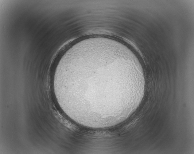 X0000082160979200702162230