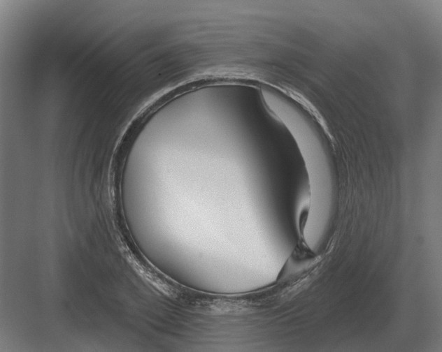 X0000082160981200702162230