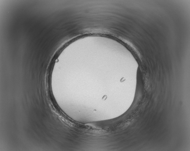 X0000082160983200702162230