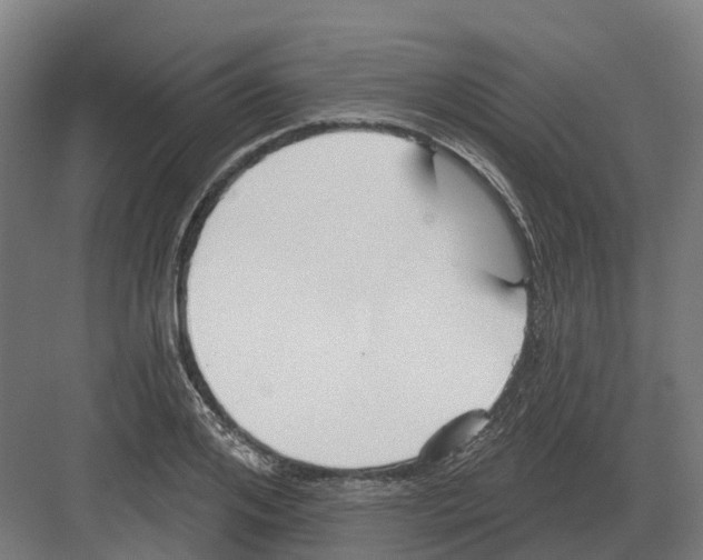 X0000082160984200702162230