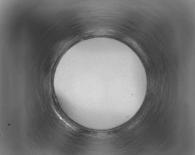 X0000082160986200702162230