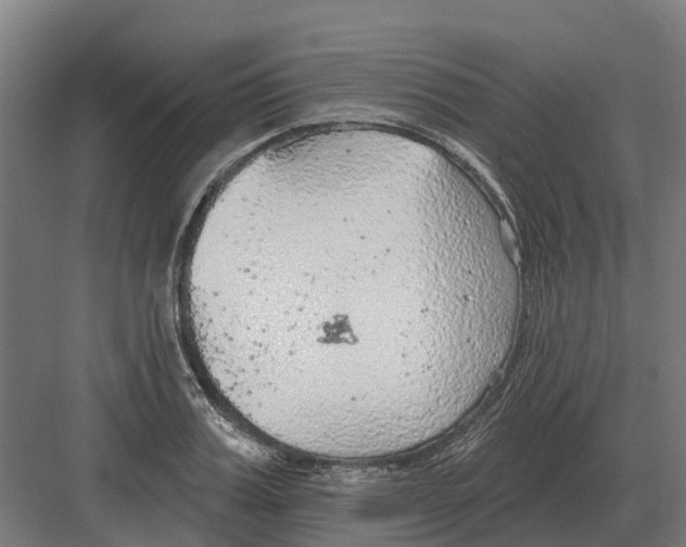 X0000082160987200702162230