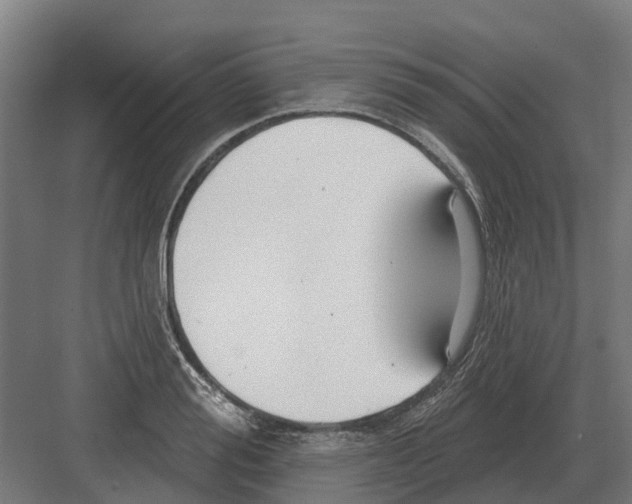 X0000082160988200702162230