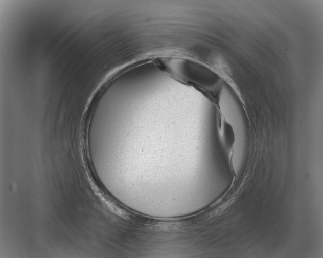 X0000082160989200702162230