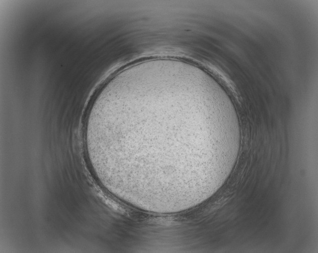 X0000082160990200702162230