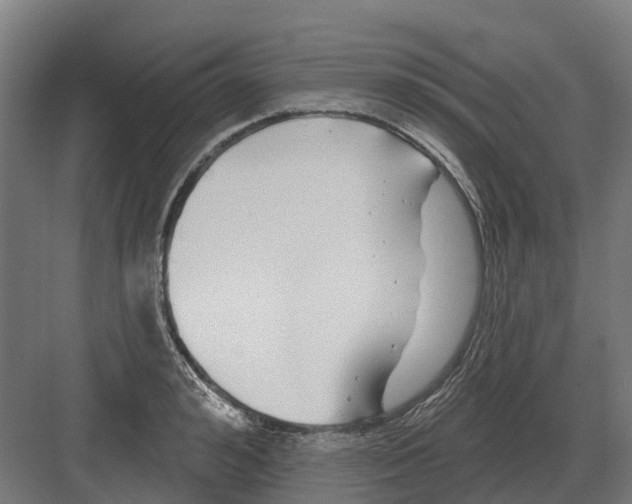 X0000082160992200702162230