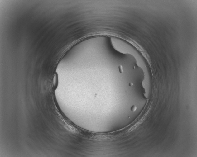 X0000082160993200702162230