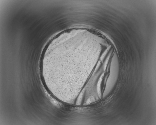 X0000082160995200702162230