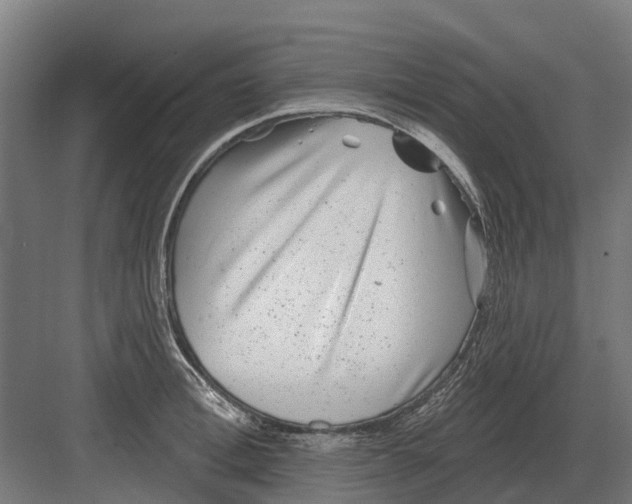 X0000082160996200702162230