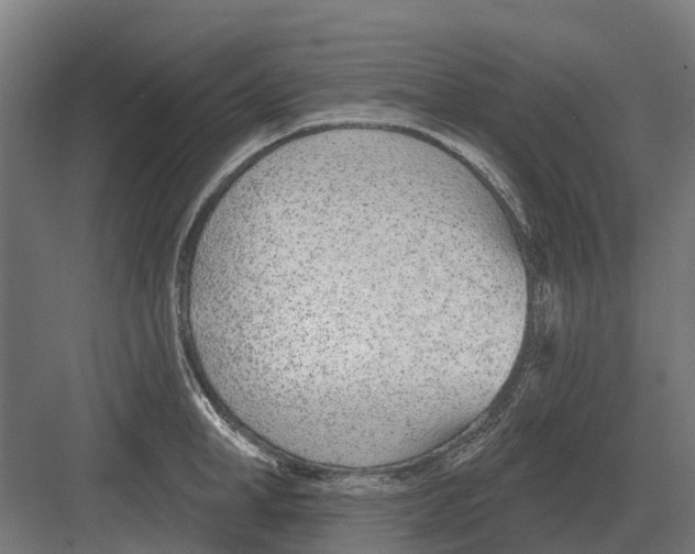 X0000082160998200702162230