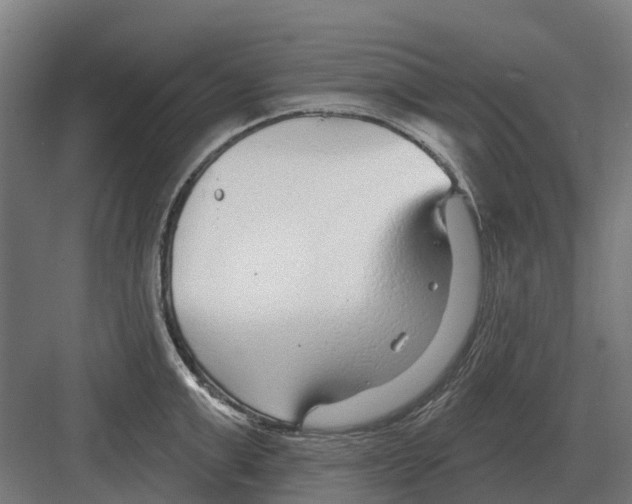 X0000082160999200702162229