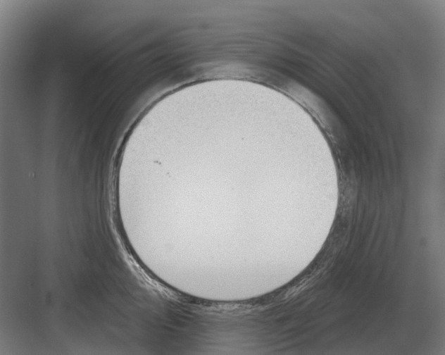 X0000082161000200702162229