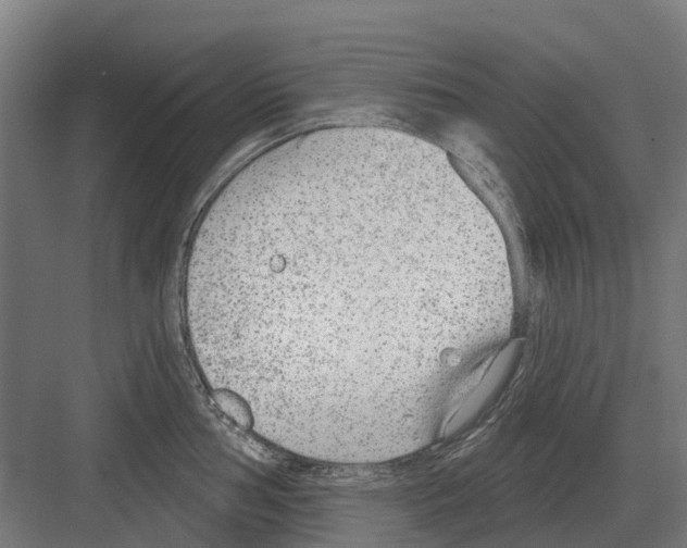 X0000082161002200702162229