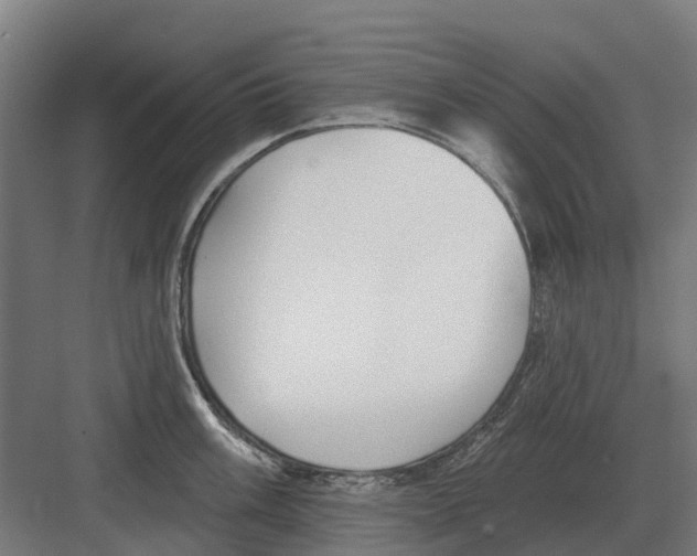 X0000082161003200702162229