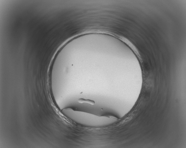 X0000082161004200702162229