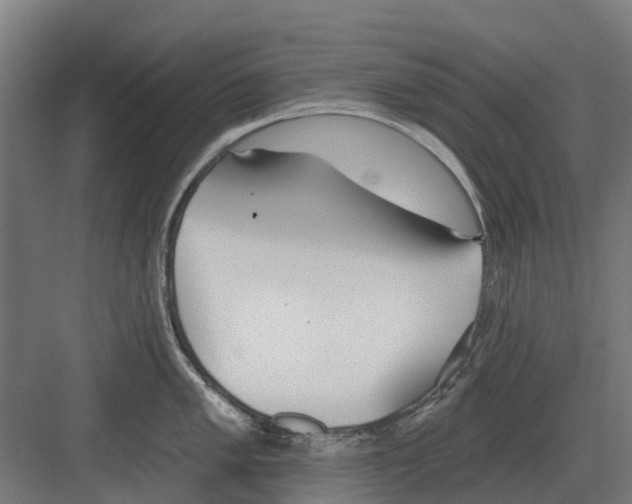 X0000082161005200702162229