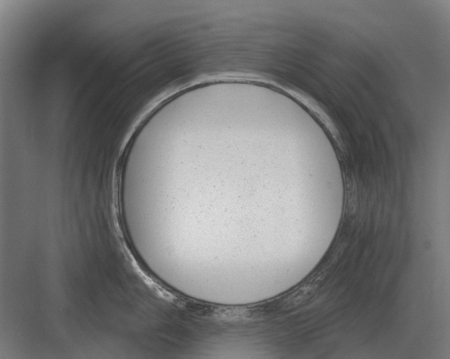 X0000082161006200702162229