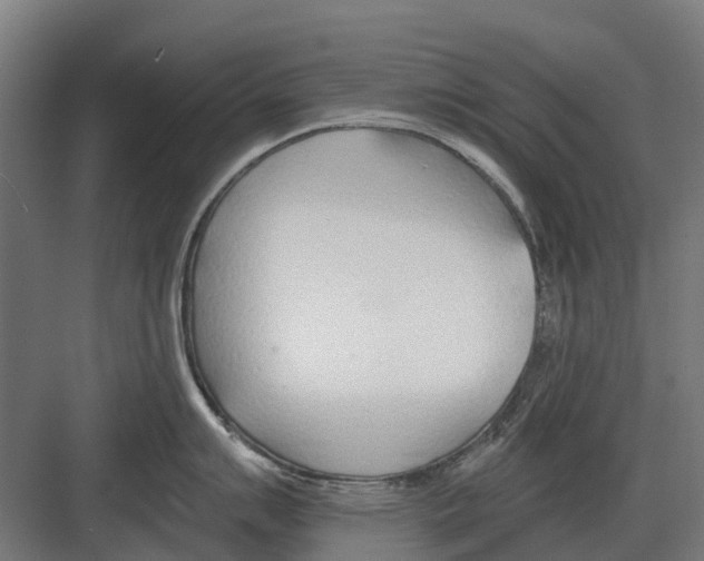 X0000082161007200702162229