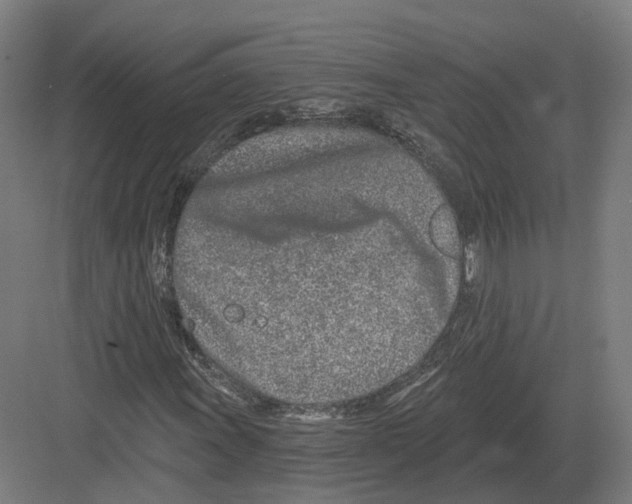 X0000082161011200702162229