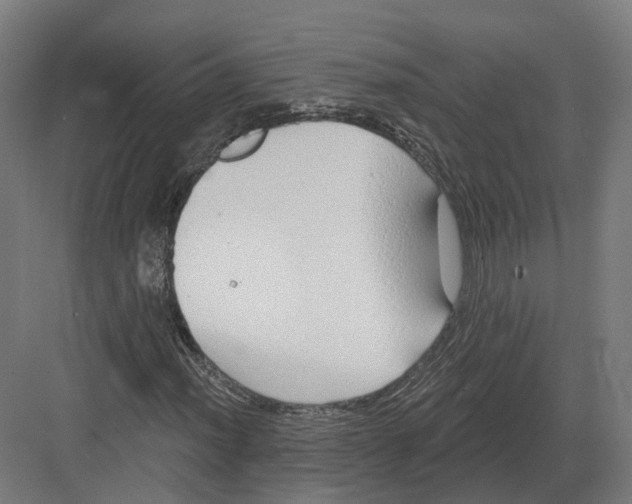 X0000082161012200702162229