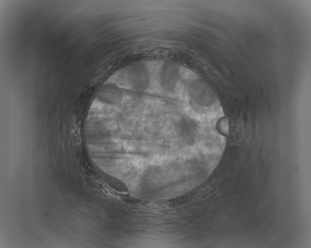 X0000082161013200702162229