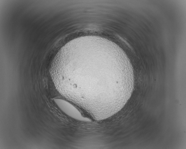 X0000082161015200702162229