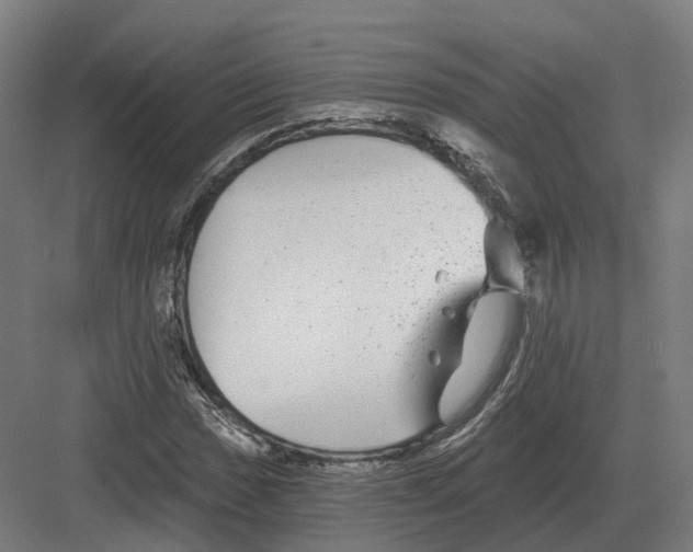 X0000082161017200702162229