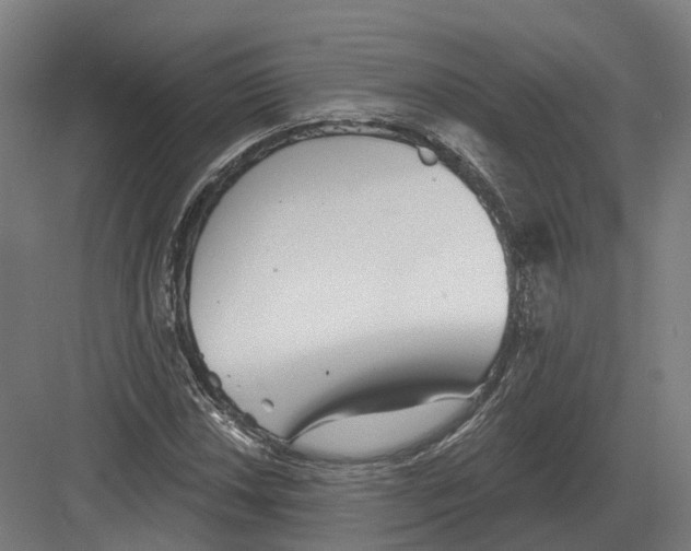 X0000082161018200702162229