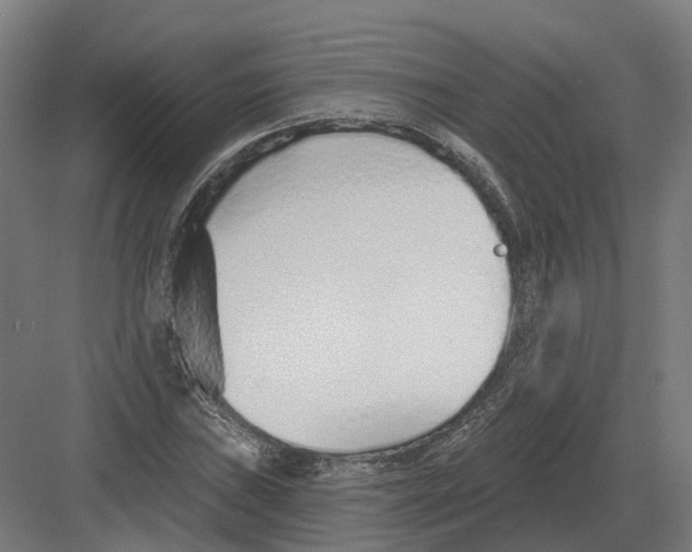 X0000082161019200702162229