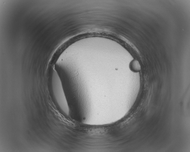 X0000082161021200702162229