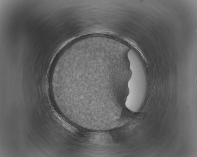 X0000082161024200702162229