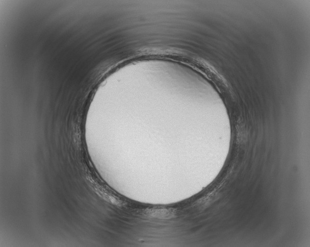 X0000082161025200702162229