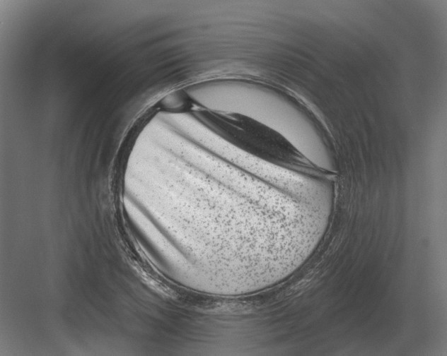 X0000082161026200702162229