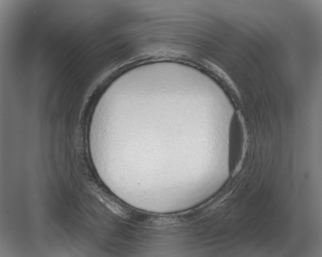 X0000082161027200702162229