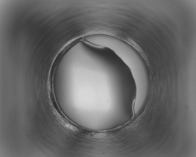 X0000082161028200702162229