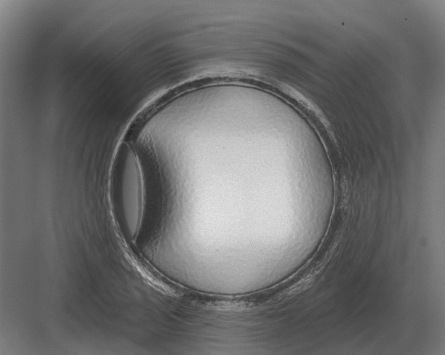 X0000082161029200702162229