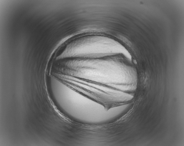 X0000082161030200702162229