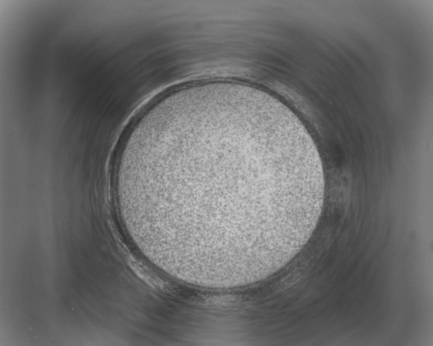 X0000082161031200702162229